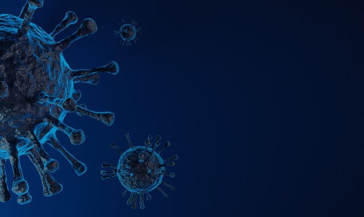 Image of the coronavirus 